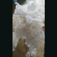 碳化羊毛，澳服散，澳大利亚羊毛